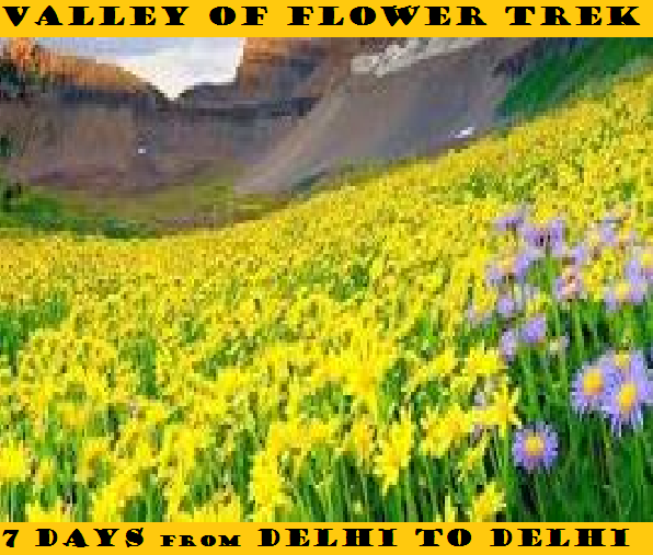 VALLEY OF FLOWER TREK 7 DAYS